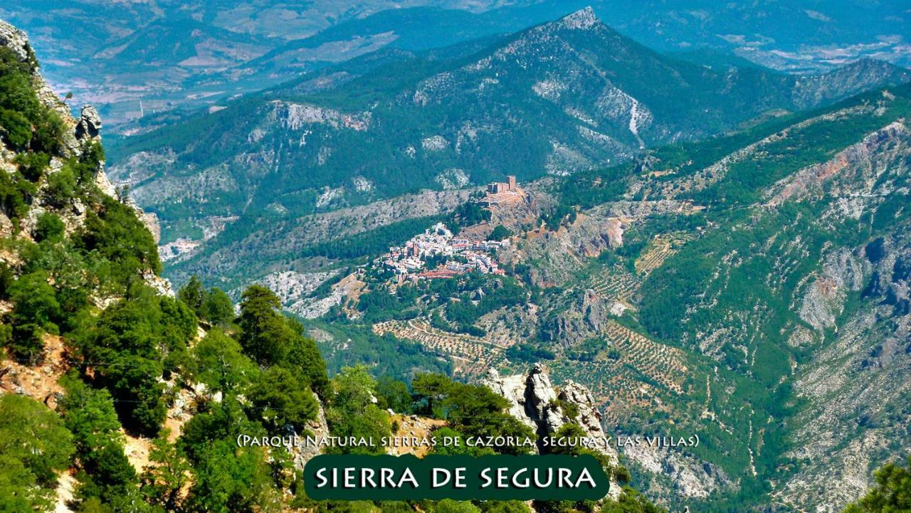 La Vieja Parra Pensionat La Puerta de Segura Exteriör bild